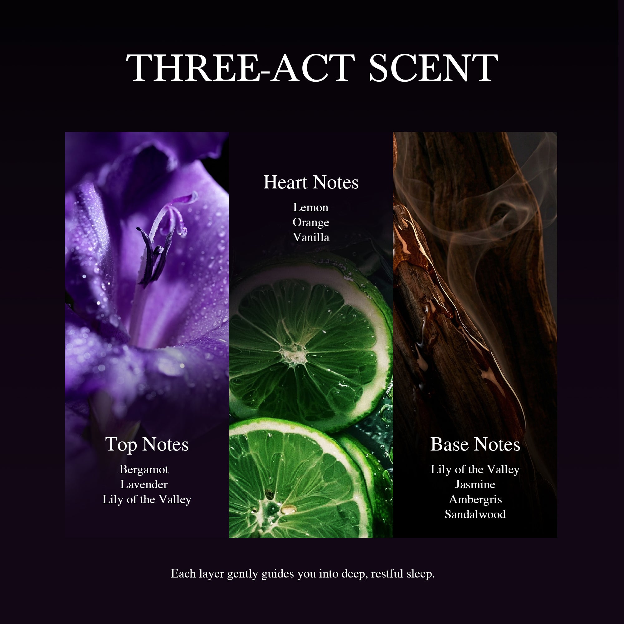 WEIGHTLESS Eau De Parfum A Soft Scent for Quiet Nights.