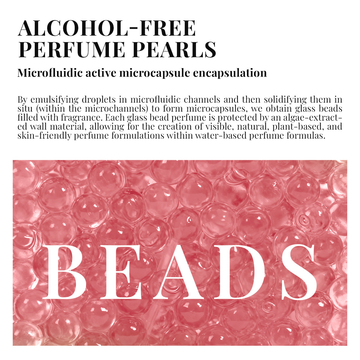 LOVE SIGNAL – A Date Night Fragrance for Unforgettable Moments