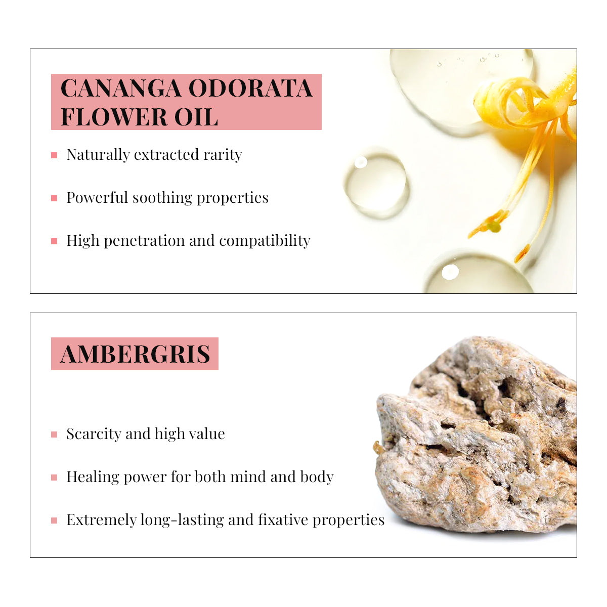 LOVE SIGNAL – A Date Night Fragrance for Unforgettable Moments