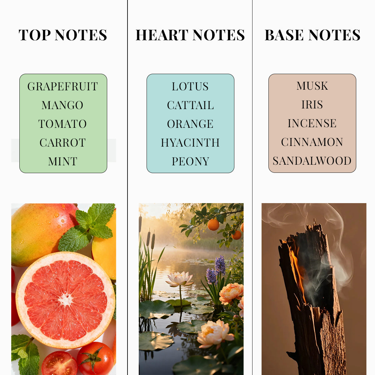 OXYGEN BURST Eau De Parfum A Breath of Fresh Energy. Bottled.